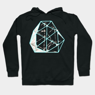 Crystalmodule Hoodie